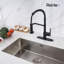 Rainlex Pull Down Kitchen Faucet