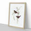 Fire-Tailed Finch Birds by Elizabeth Gould - Picture Frame Art Print-55609306-55609307