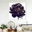 Pivoine noire - Impression sur toile-80844207-80844208