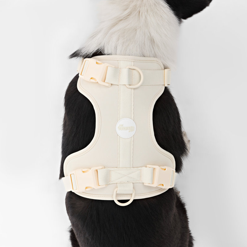 Harnais pour animal de compagnie Arlo, Amande, Grand