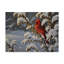 Berrien «Winter Red Cardinal», reproduction d'impression sur toile tendue-27644686