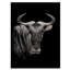 Portrait monochrome de gnous - photographie sur toile-60162709-60162707