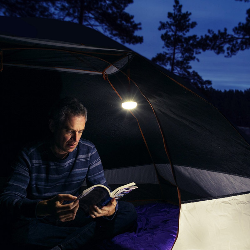 Brite-Nite 2'' Battery Powered Integrated LED Outdoor Lantern