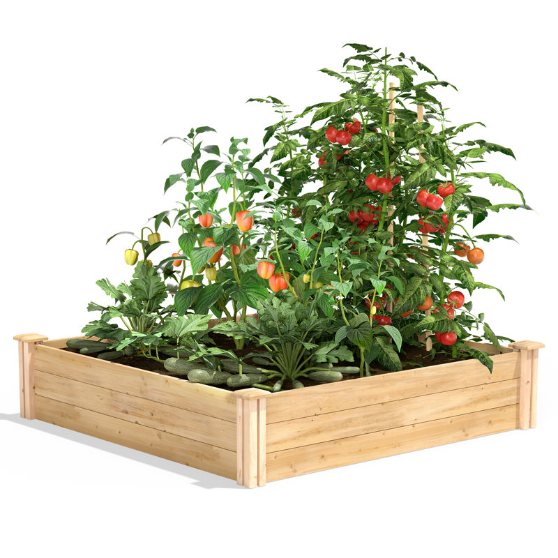 Katsuyoshi Wood Raised Garden Bed, Cedar, 10.5" H x 48" W x 48" D