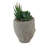 8 " H Faux Succulent Plant in Cement Decorative Vase