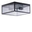 Burns Glass Flush Mount