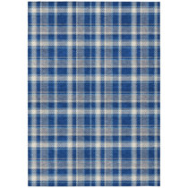 Navy Blue White Plaid Rug Indoor Porch Checkered Rug, Washable