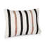 Chanhassen Striped Cushion Cover-585964741