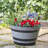 Pot Planter