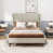 Beige Linen