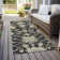 Machine Washable Indoor/Outdoor Cicel ACN1150 Black