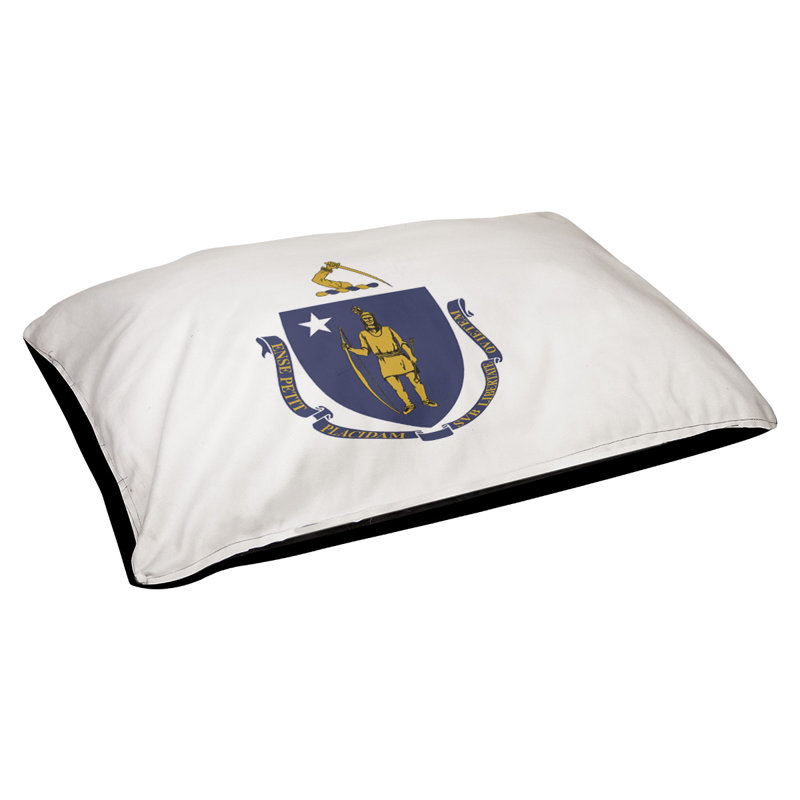 Coussin stylisé pavillon du massachusetts Burien, L 32,5 po x l 42,5 po, Noir