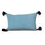 Ella Rectangular Cotton Pillow Cover and Insert-27057211