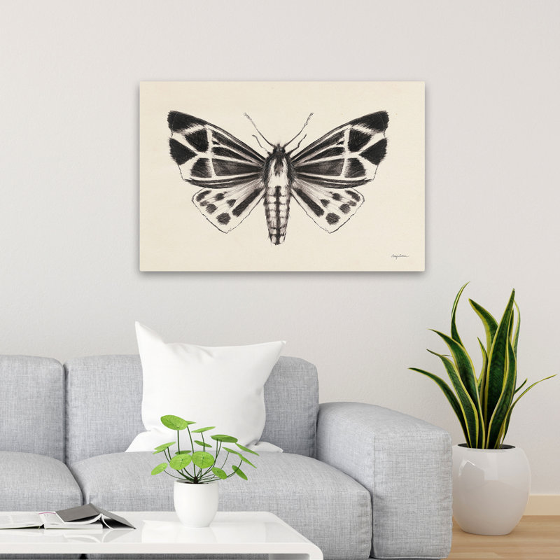 Animaux - papillon de nuit III, H 24 po x l 36 po