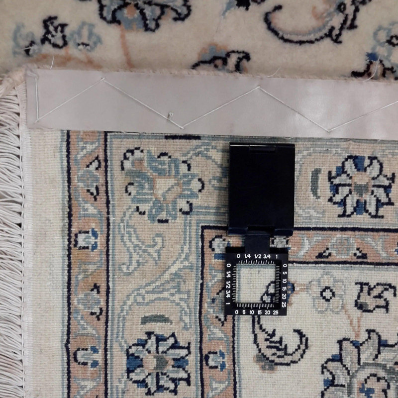 Plamedi Oriental Area Rug in Beige