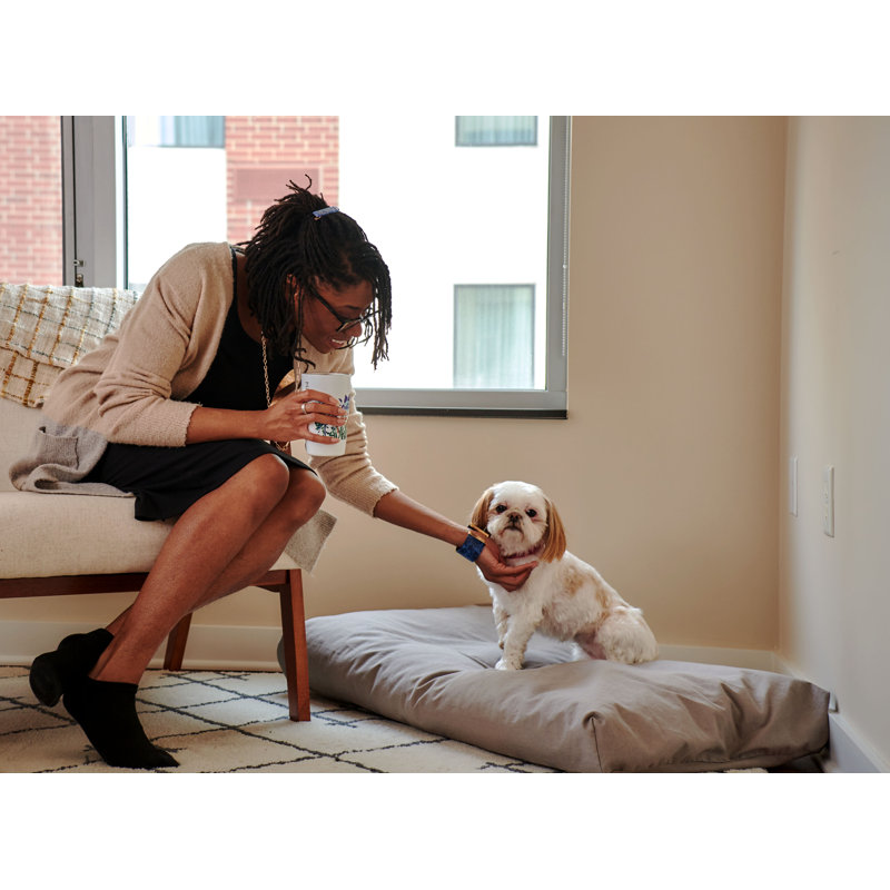Naturepedic Organic Pet Bed with Washable Waterproof Cover, 23" H x 17" W x 3" D