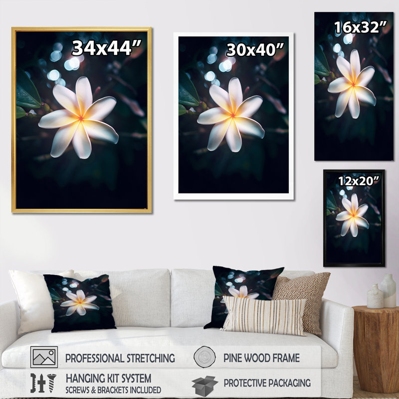 «White Yellow Exotic Plumeria Bloom», reproduction sur toile, H 32 po x l 24 po x P 1 po, Toile tendue
