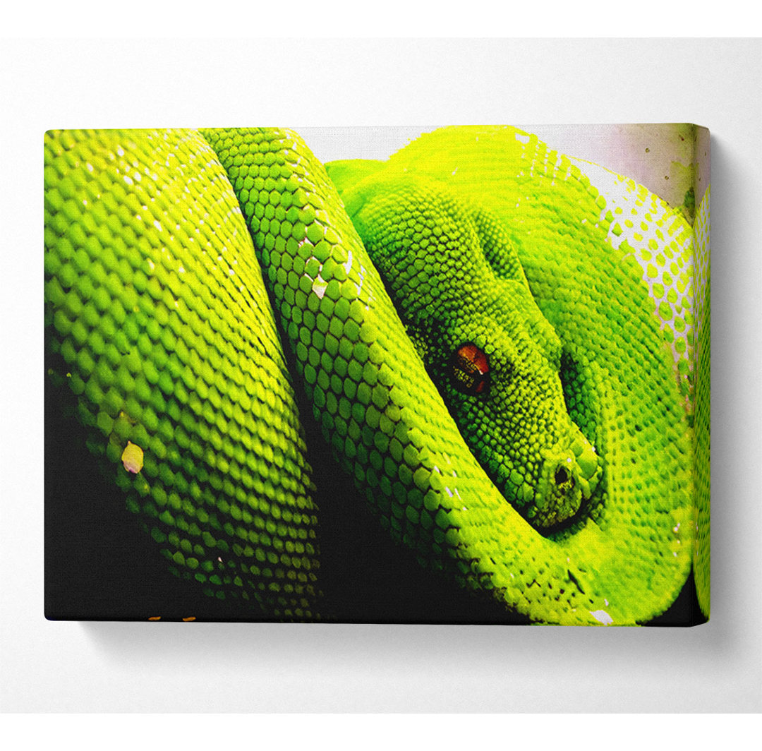 Snake Huddle - Kunstdrucke auf Leinwand - Wrapped Canvas