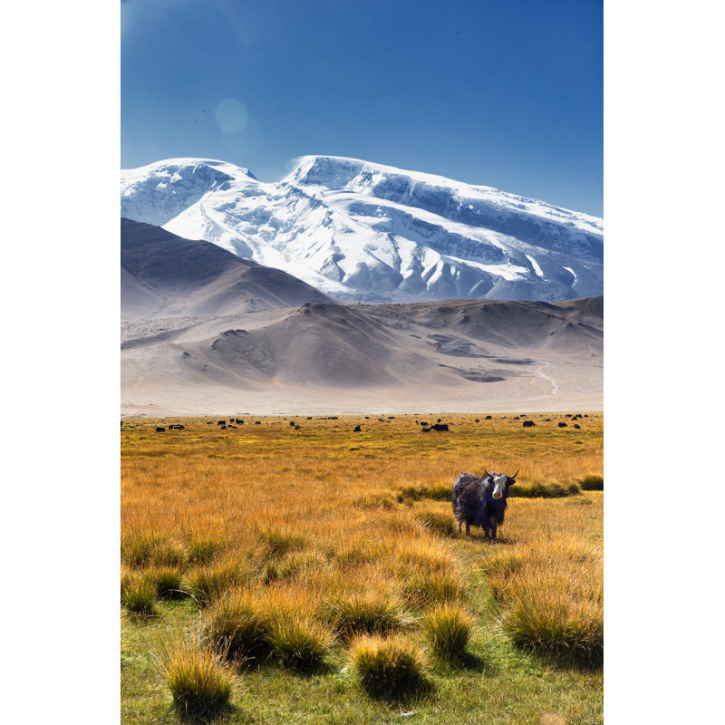 Yaks Grazing by Double_p - Wrapped Canvas Print, 91cm H x 61cm W x 3.8cm D