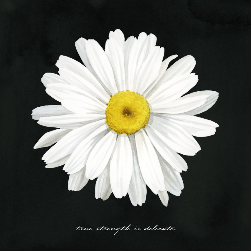 Delicate Daisy II by Grace Popp - Wrapped Canvas Print, 76cm H x 76cm W x 3.8cm D