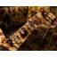 Tapis oriental brun Rosaria-488782177