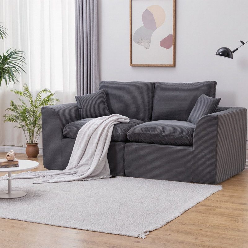 Canapé modulaire modulaire à 2 places avec housses de coussin amovibles, canapé en velours côtelé doux sans assemblage, mobilier de salon moderne