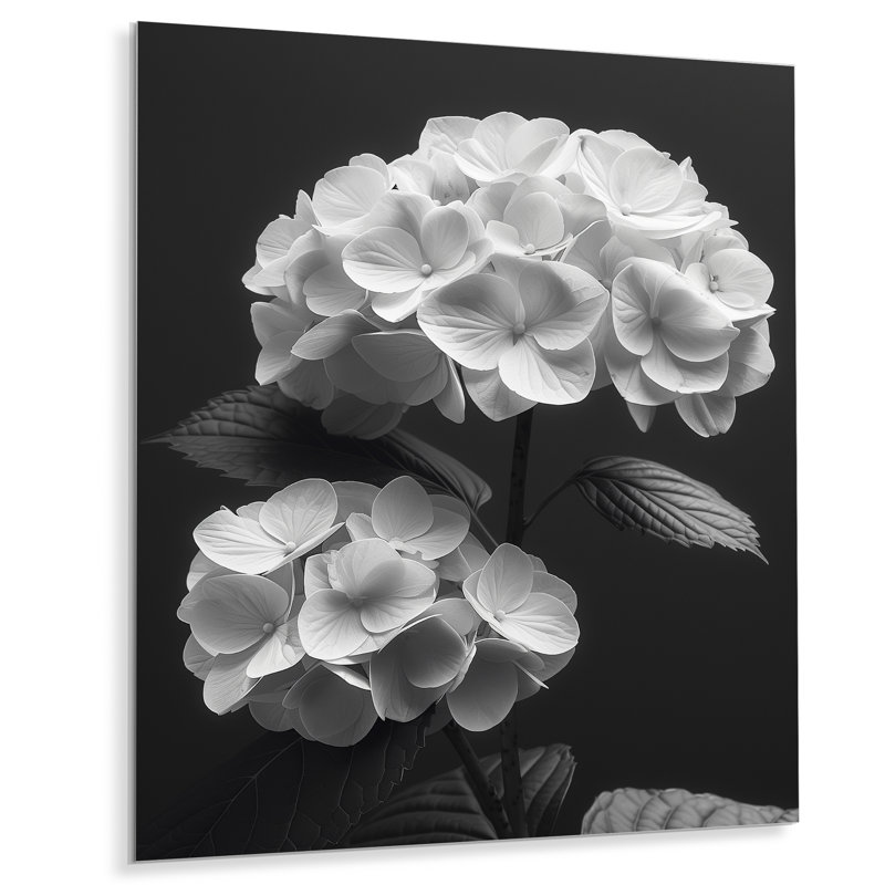 Décoration botanique monochrome hortensia I - hydrangées murales, Sans cadre, métal, H 30 po x l 40 po