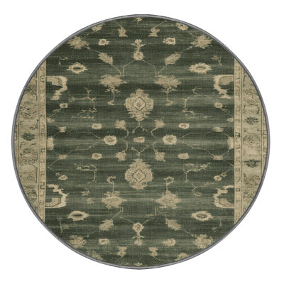 Machine Washable Overdyed Brown Area Rug