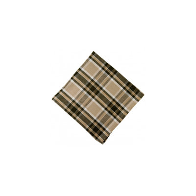 Myleah Cotton Plaid Square Napkin