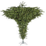 Douglas Fir 9' H Lighted Artificial Fir Christmas Tree