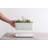 Anielle Rectangular Ceramic Pot Planter-1846892895