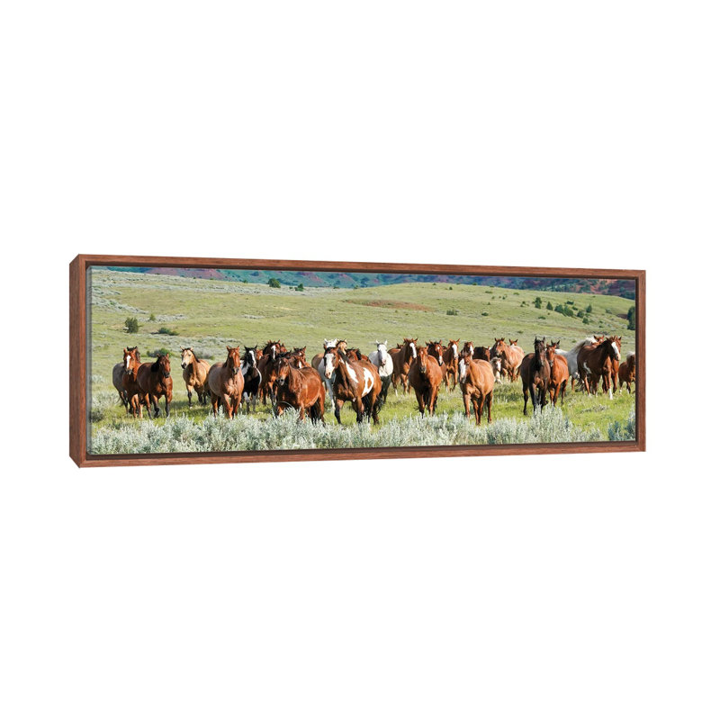 Band On The Run by Rhonda Thompson - Floater Frame Panoramic Print on Canvas, 30.48 cm H x 91.44 cm W, Brown Floater Frame