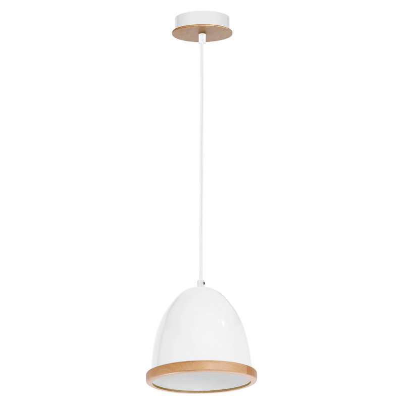 Bridget 1 - Light Dome Pendant, White, White