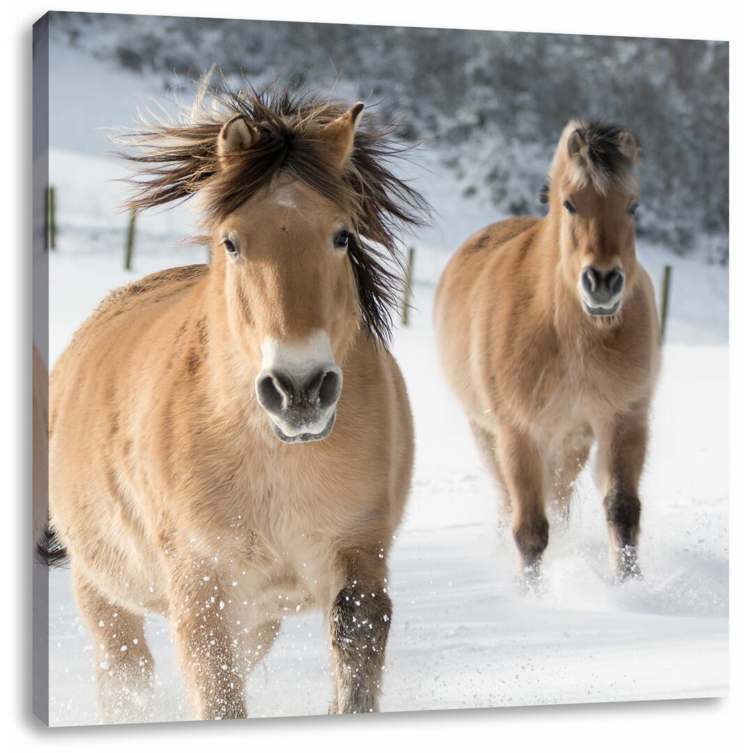 Leinwandbild Pferd im Schnee