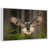 Floating Frame White