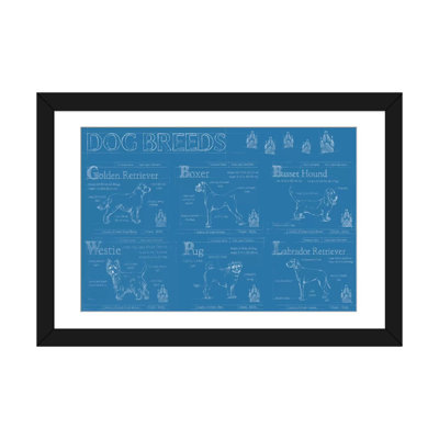 «Dog Breeds Infograph», reproduction d'impression sur toile tendue