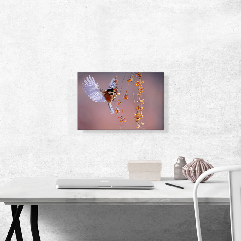 Oiseau volant au-dessus de baies - reproduction de photo sur toile tendue, H 12 po x l 18 po x P 0,75 po