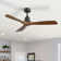Nicola 52" 3 - Blade Standard Ceiling Fan with Remote Control