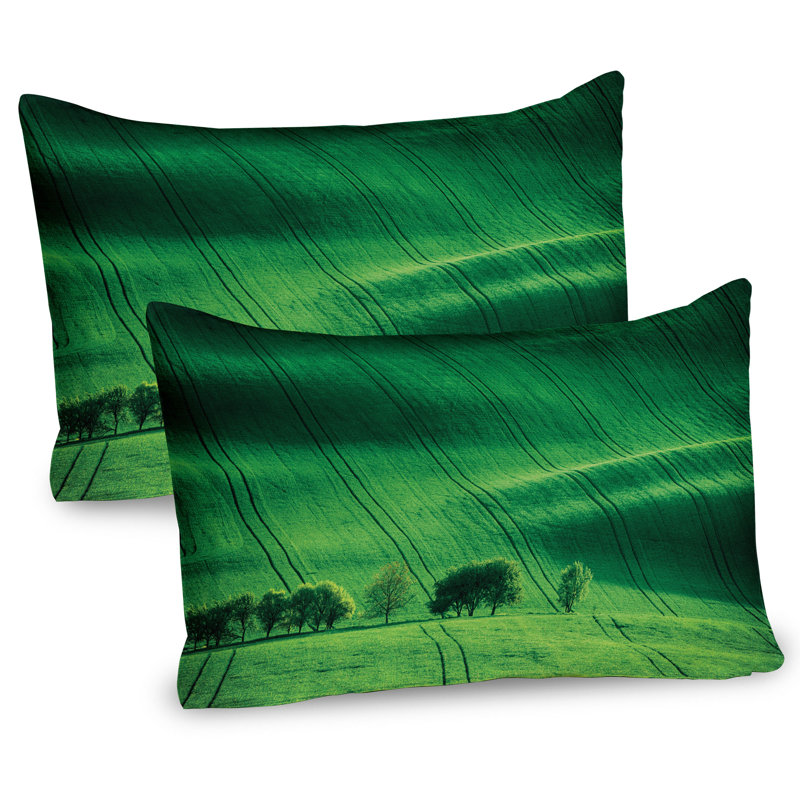 Ensemble de 2 taies décoratives vertes Ambesonne Ambesonne Meadow Fields Hills Emerald, H 20 po x l 36 po