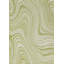 Tapis intérieur / extérieur vert Brodus-712332312