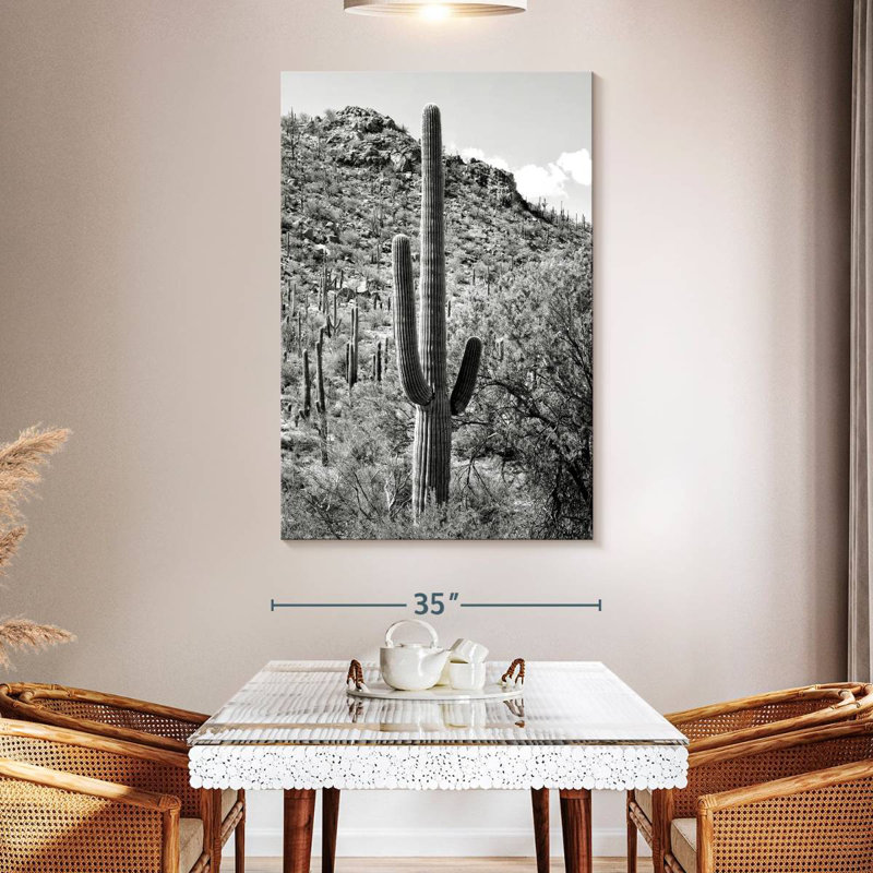 Harnek Black Arizona - Cactus Hill I, 30" H x 20" W