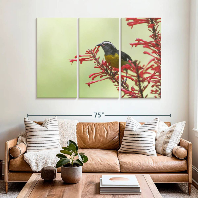 Brampt Feeding Bananaquit Bird, 42" H x 65" W