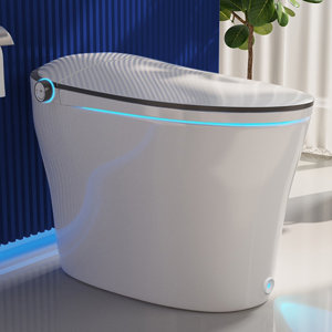 Smart Bidet Toilet Quiet-Closed Heated Seat Sensor Auto, Foot Kick & Blackout Flush, Advanced