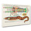 East Indies Fish & Lobster Illustrations XLV by Louis Renard - Wrapped Canvas Painting-55342808