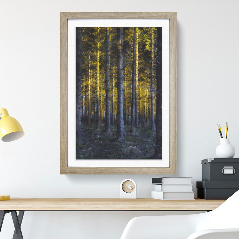 Sunlight Forest Vol.3 - Picture Frame Painting, 36cm H x 27cm W x 2cm D, Oak Framed