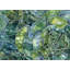 «Abstract Succulents - Leaves», reproduction encadrée pour la chambre à coucher-1606431167