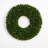 Faux Boxwood Plastic 24'' Wreath