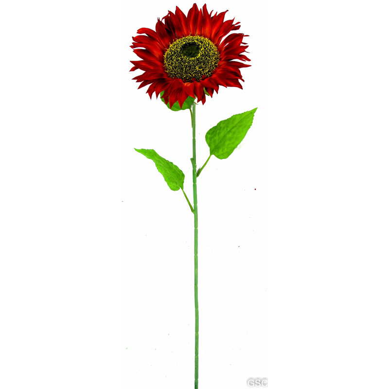 Sunflower Arrangement, Rubrum