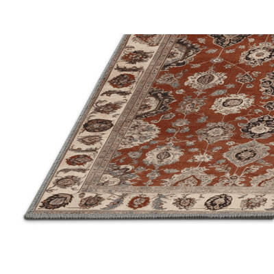 Machine Washable Persian Gray Area Rug