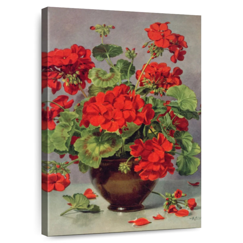 Harnek Geranium In An Earthenware Vase, 24" H x 16" W